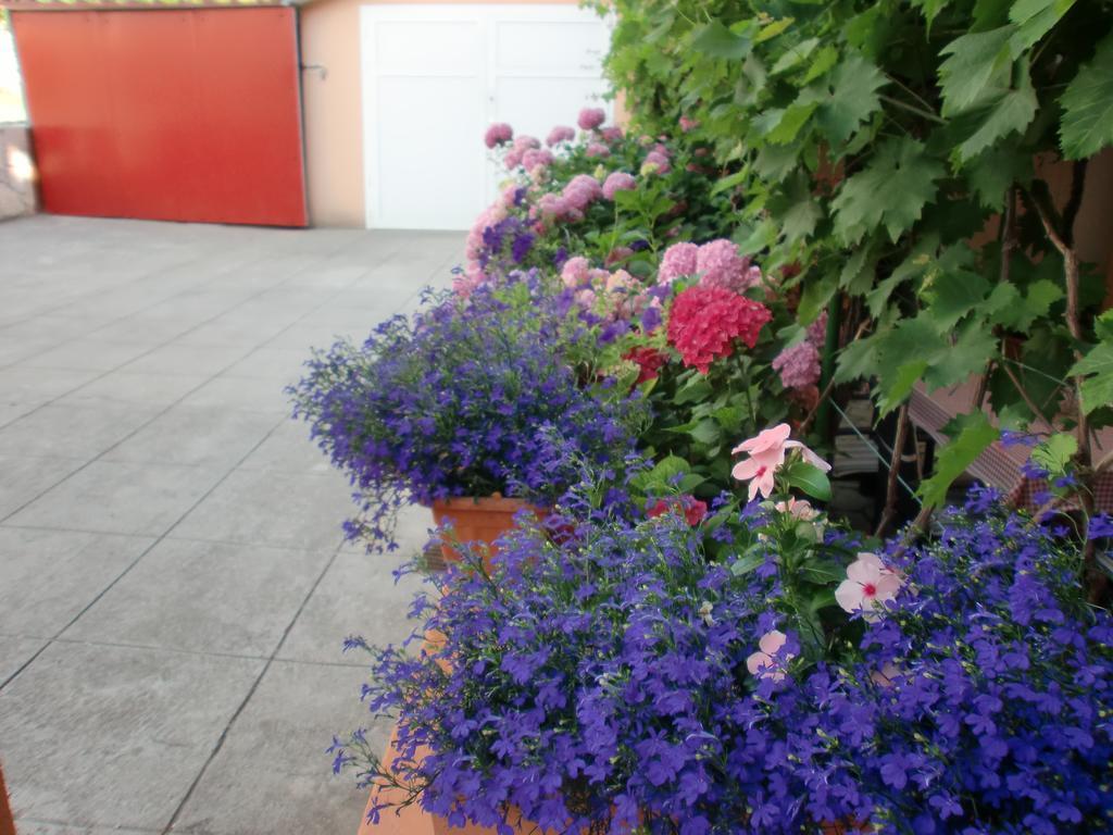 Apartments Bene Banjol Dış mekan fotoğraf
